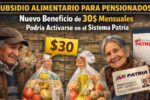 qué es el subsidio alimentario para